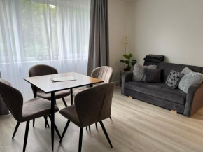 Suuremõisa Holiday Apartment with Sauna